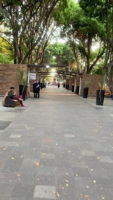 parque-1